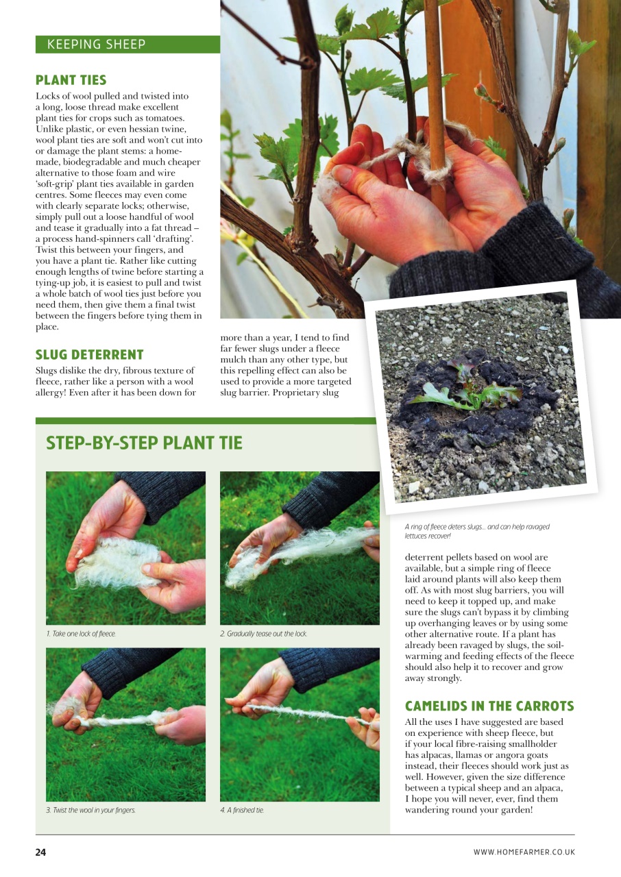 Home Farmer Magazine Preview Pages