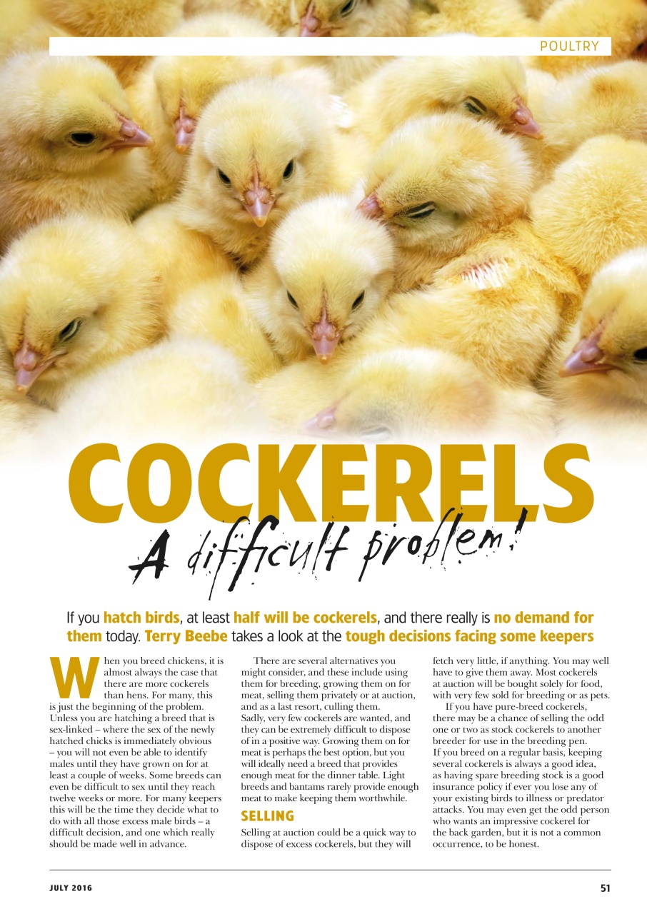Home Farmer Magazine Preview Pages