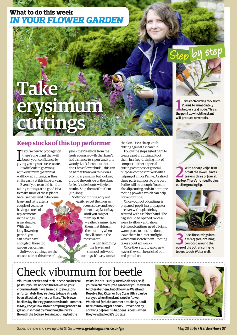 Garden News Preview Pages