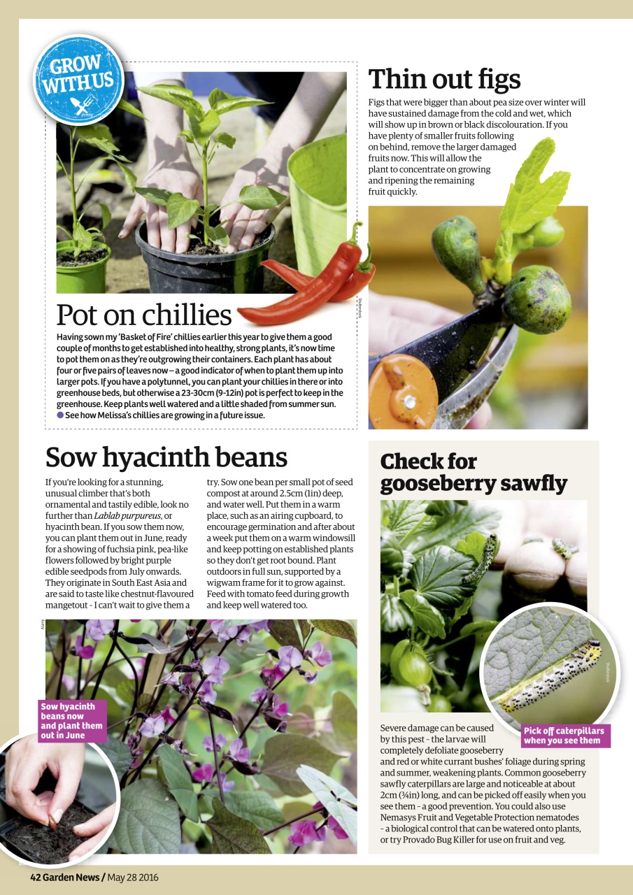 Garden News Preview Pages