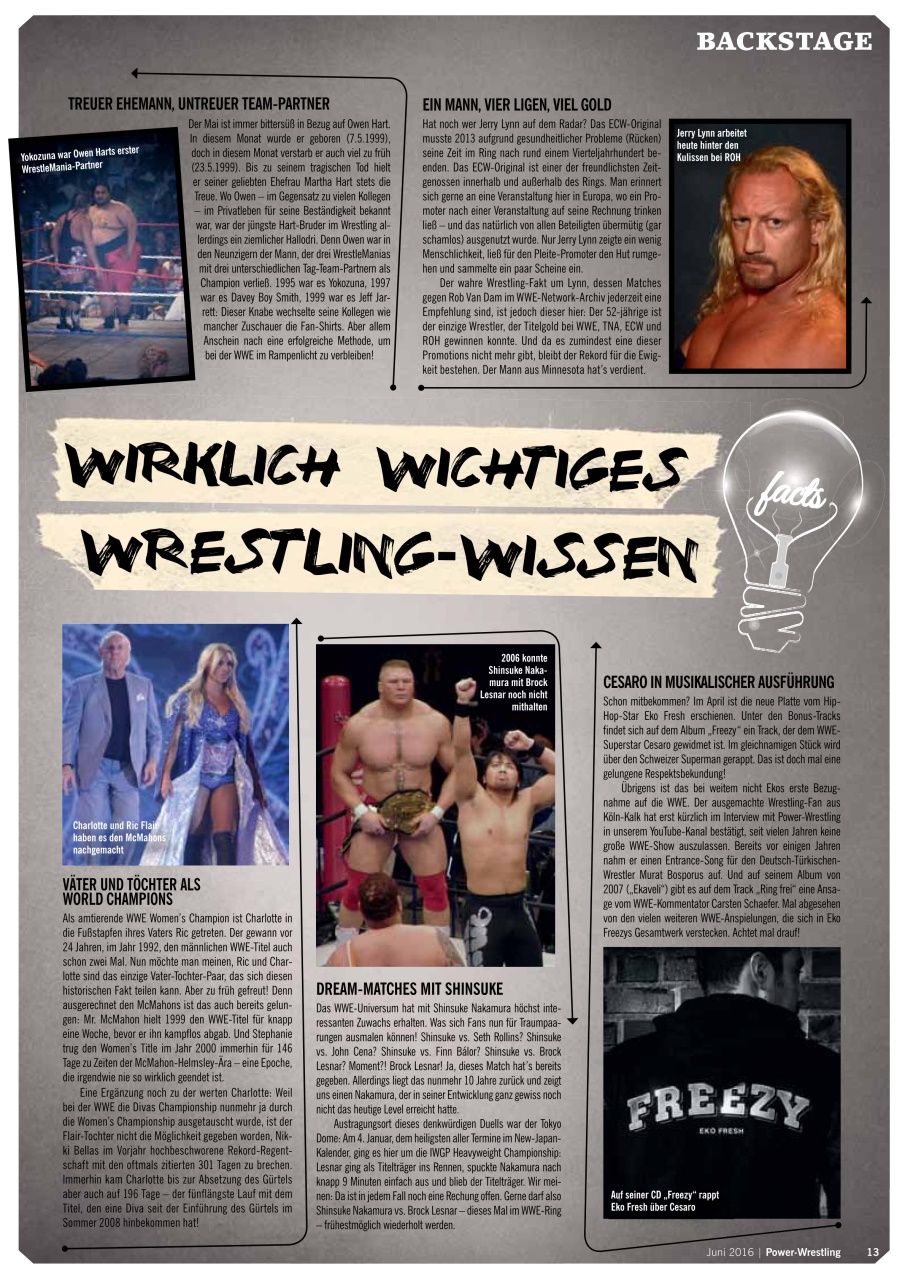 Power-Wrestling Preview Pages