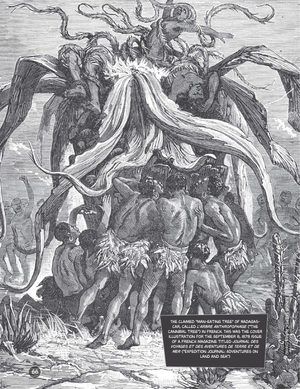 Skeptic Preview Pages