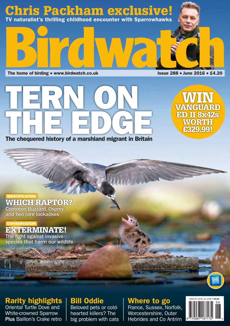 Birdwatch Magazine Preview Pages