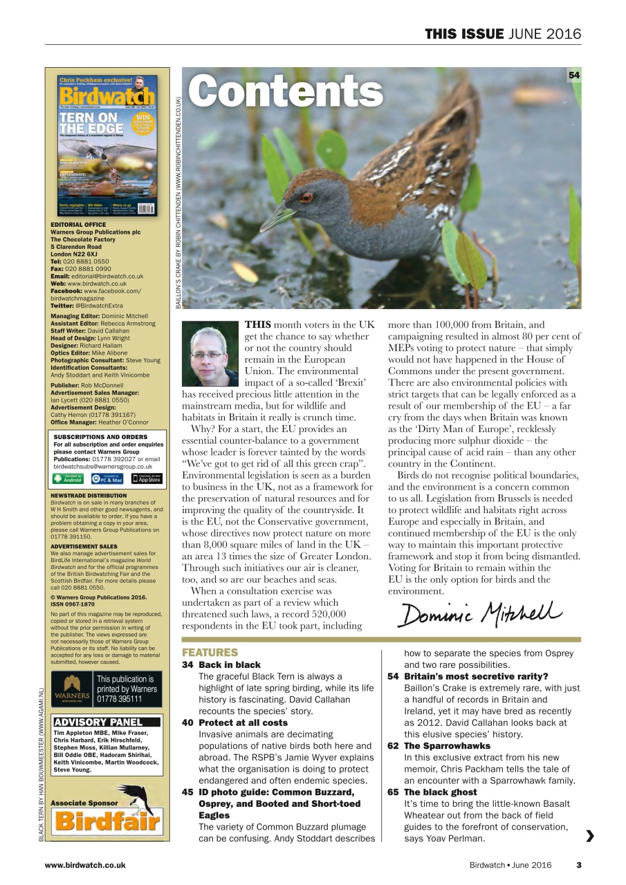 Birdwatch Magazine Preview Pages