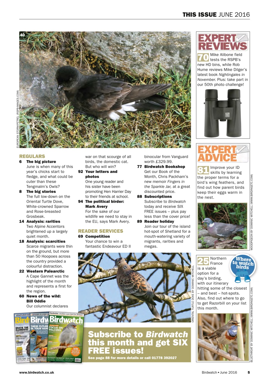 Birdwatch Magazine Preview Pages