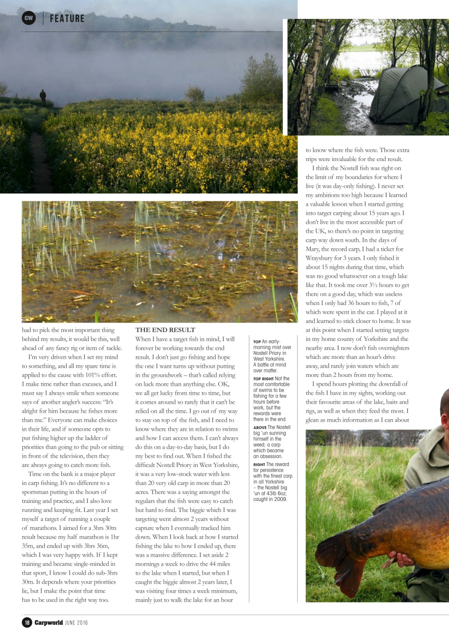 Carpworld Preview Pages