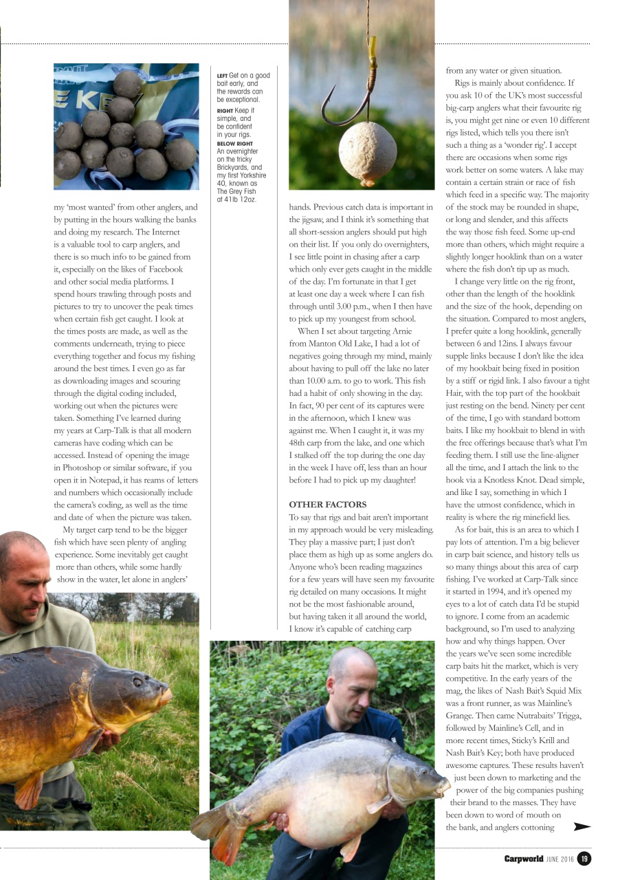 Carpworld Preview Pages