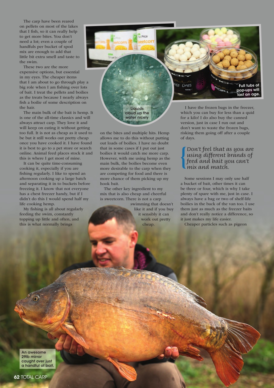 Total Carp Preview Pages