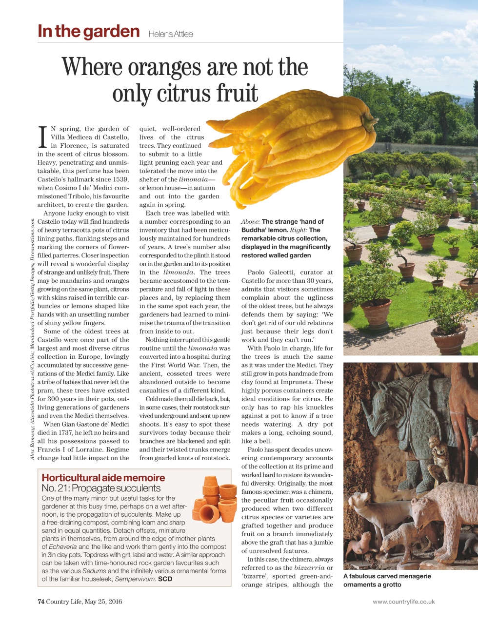 Country Life Preview Pages