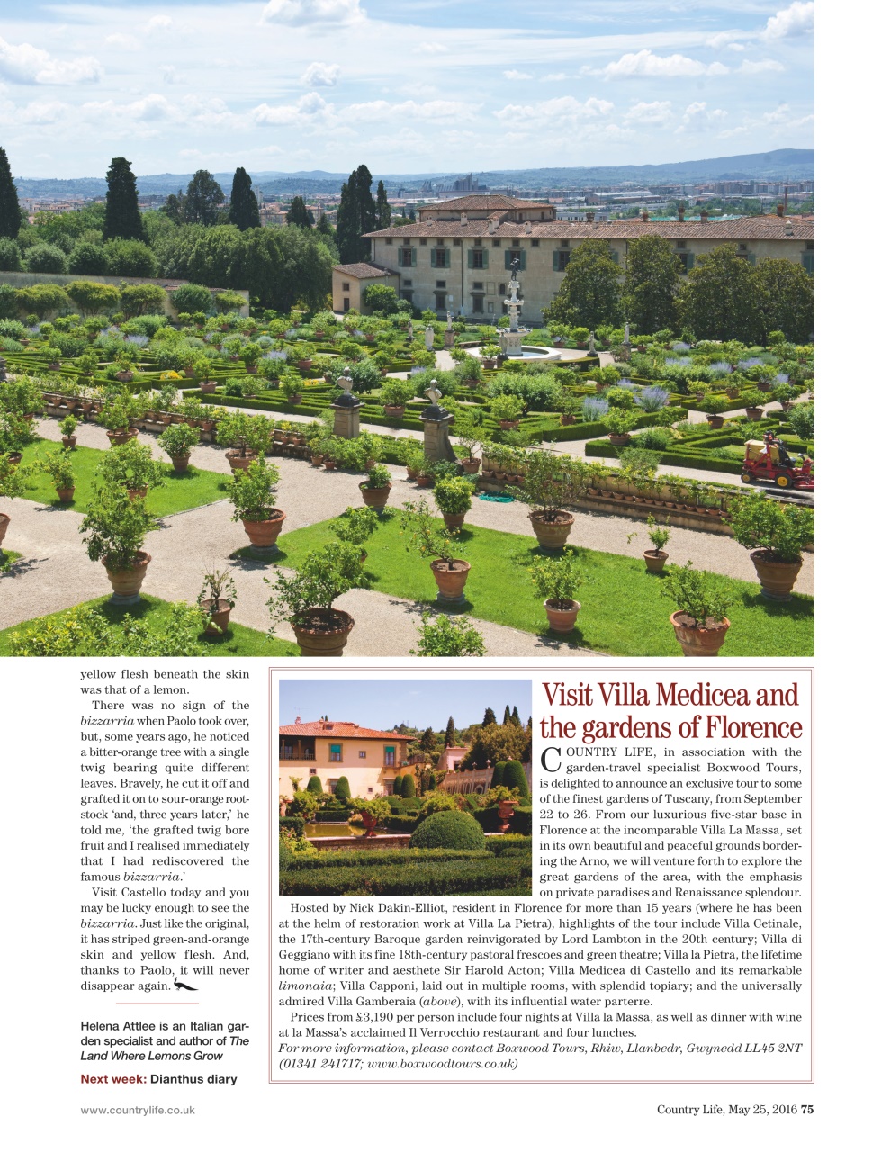 Country Life Preview Pages