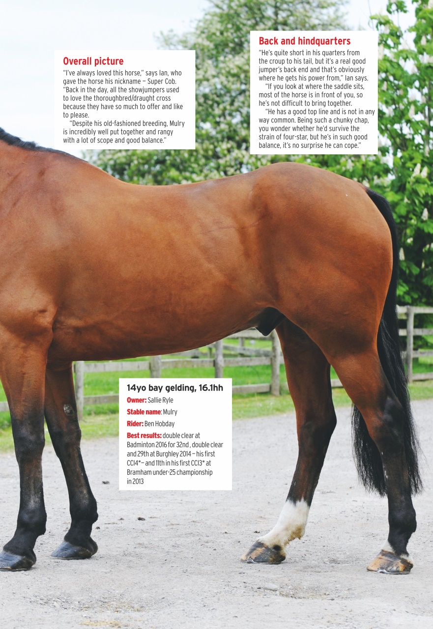 Horse & Hound Preview Pages