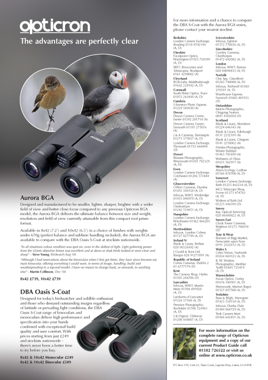 Birdwatch Magazine Preview Pages