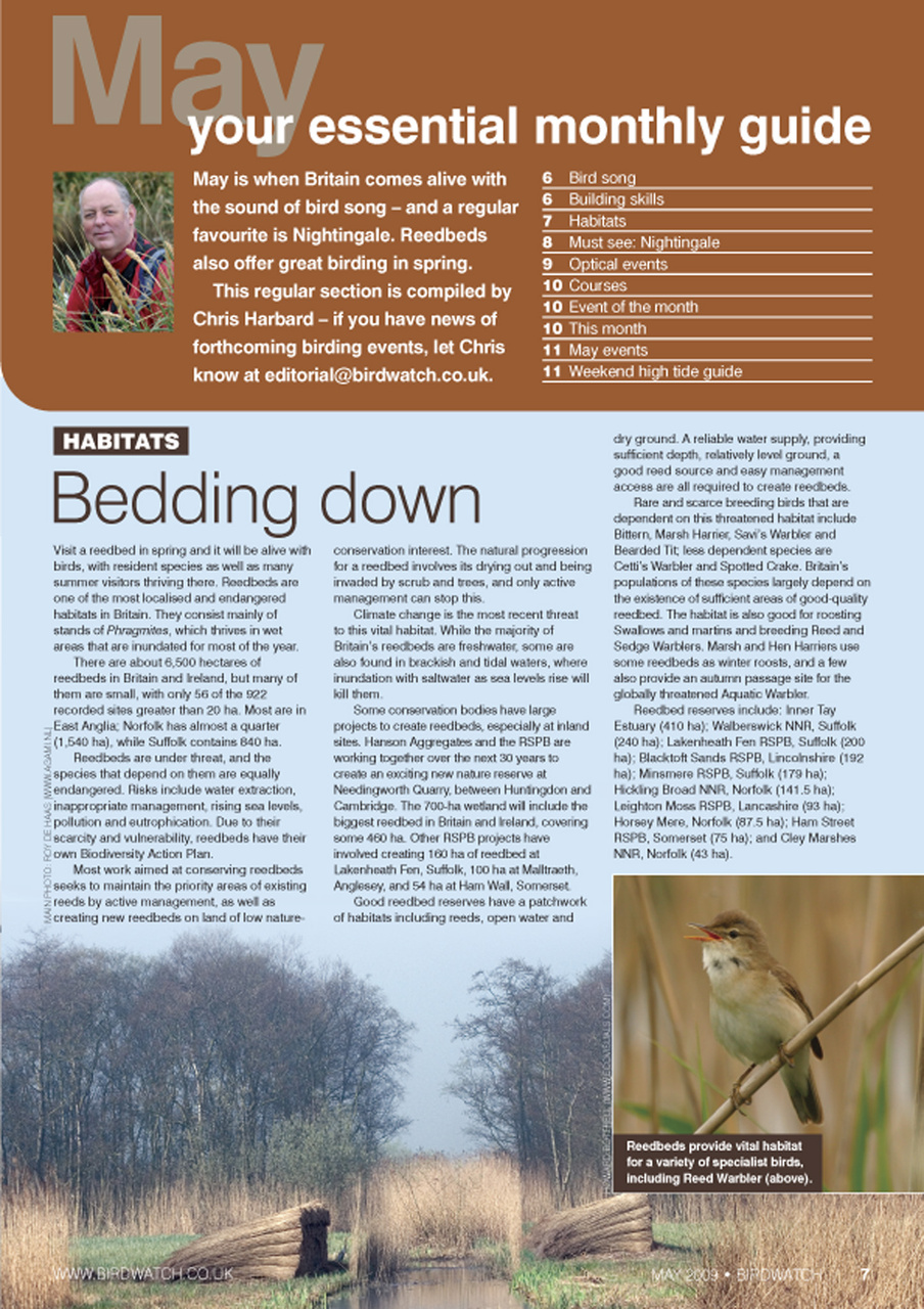 Birdwatch Magazine Preview Pages
