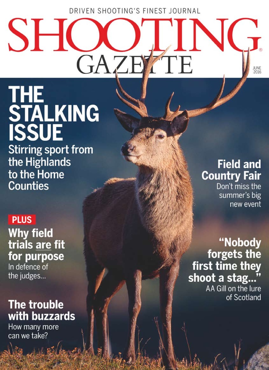 Shooting Gazette Preview Pages