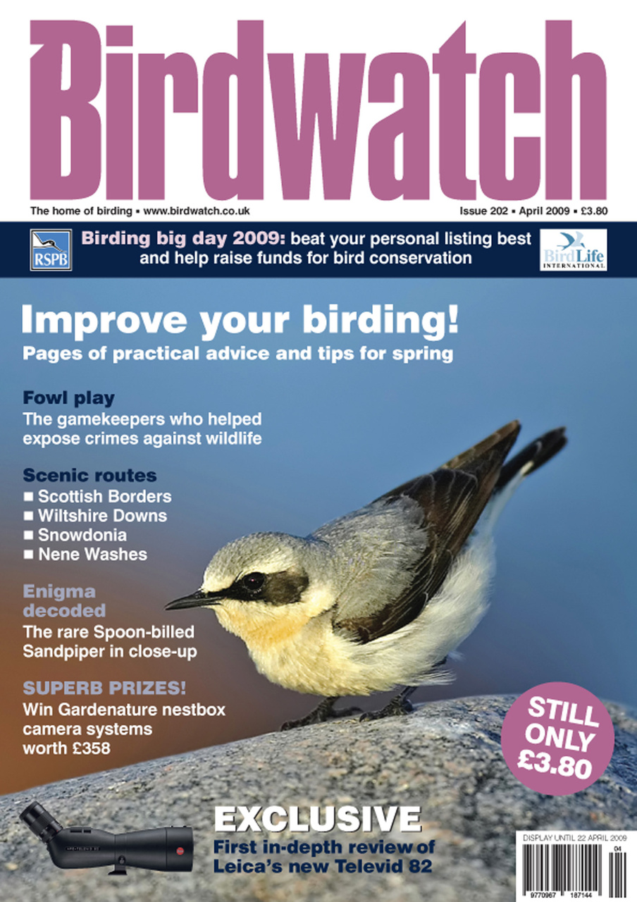 Birdwatch Magazine Preview Pages