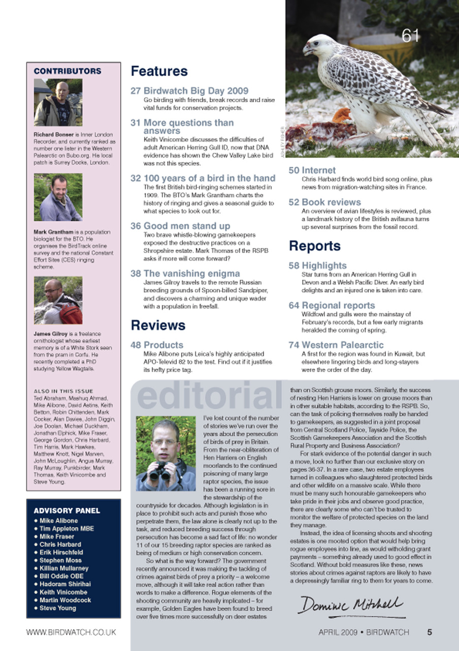 Birdwatch Magazine Preview Pages