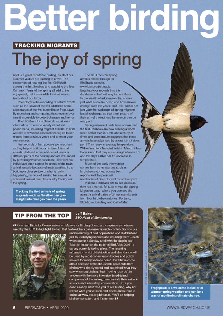 Birdwatch Magazine Preview Pages