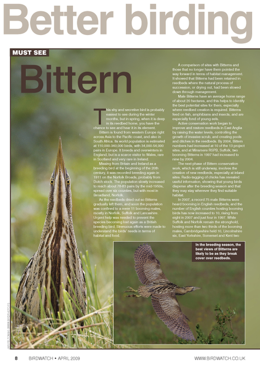 Birdwatch Magazine Preview Pages