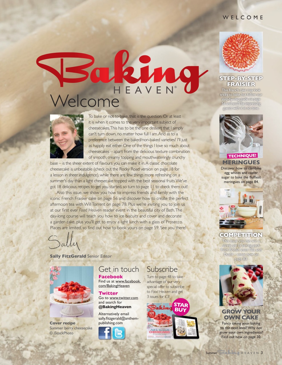 Bake & Decorate Preview Pages