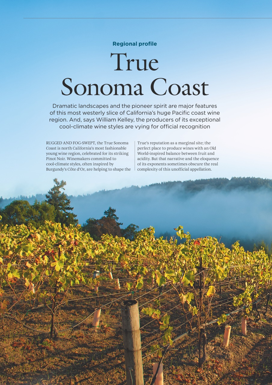 Decanter Preview Pages