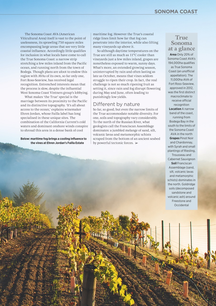 Decanter Preview Pages