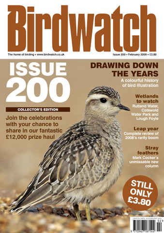 Birdwatch Magazine issue February 2009