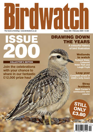 Birdwatch Magazine issue 