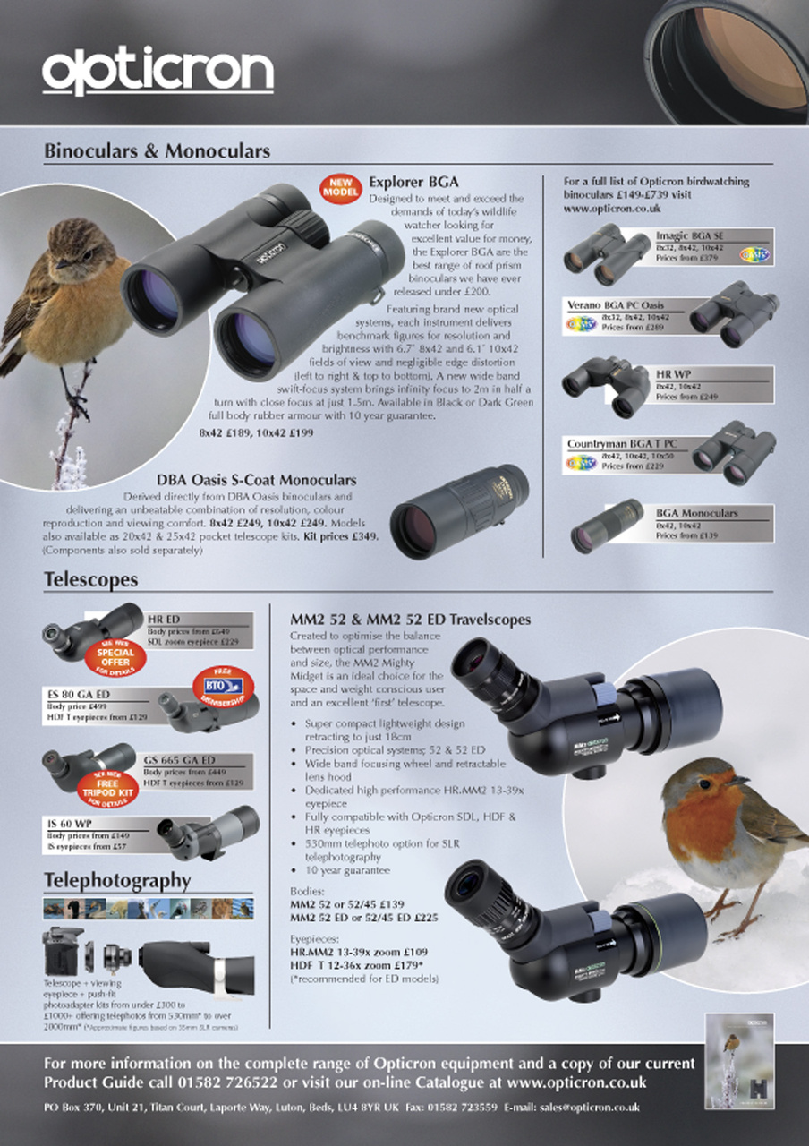Birdwatch Magazine Preview Pages