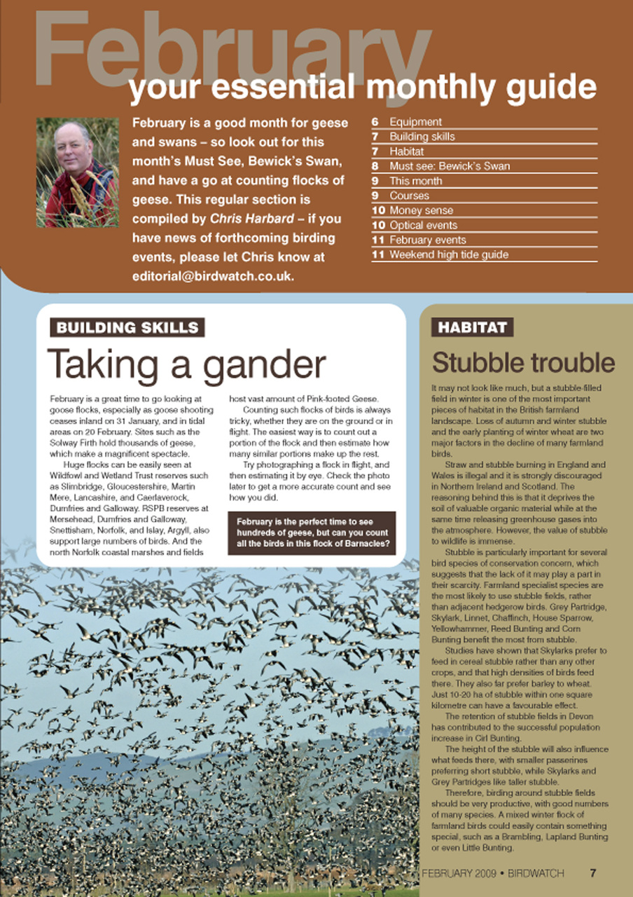 Birdwatch Magazine Preview Pages