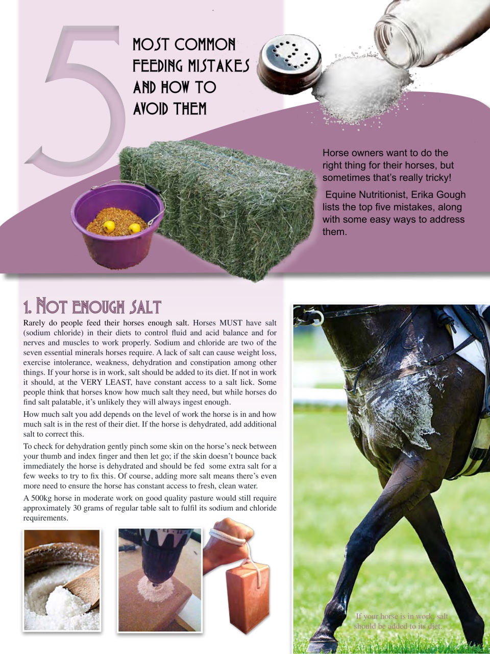 Hoofbeats Preview Pages