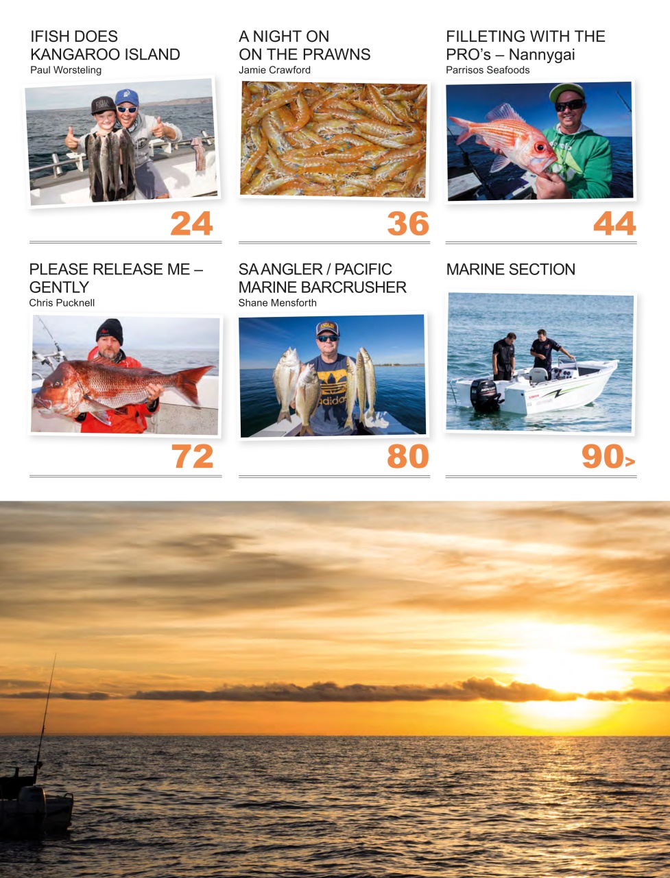South Australian Angler Preview Pages