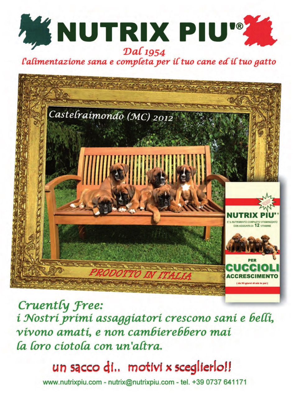 La Gazzetta Della Cinofilia Venatoria Preview Pages