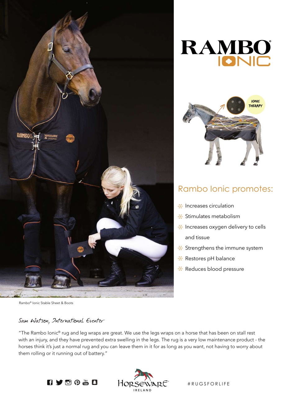Your Horse Preview Pages