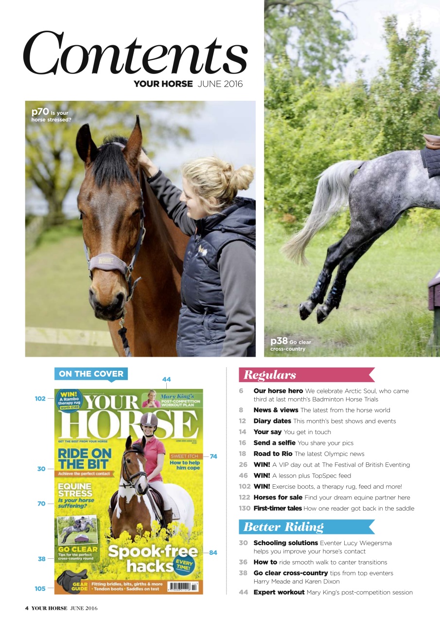 Your Horse Preview Pages