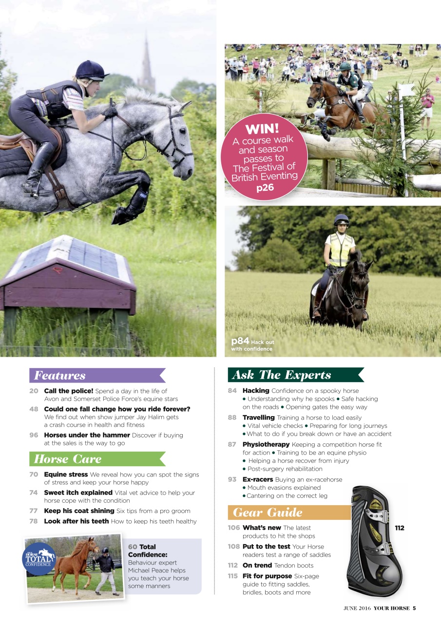 Your Horse Preview Pages