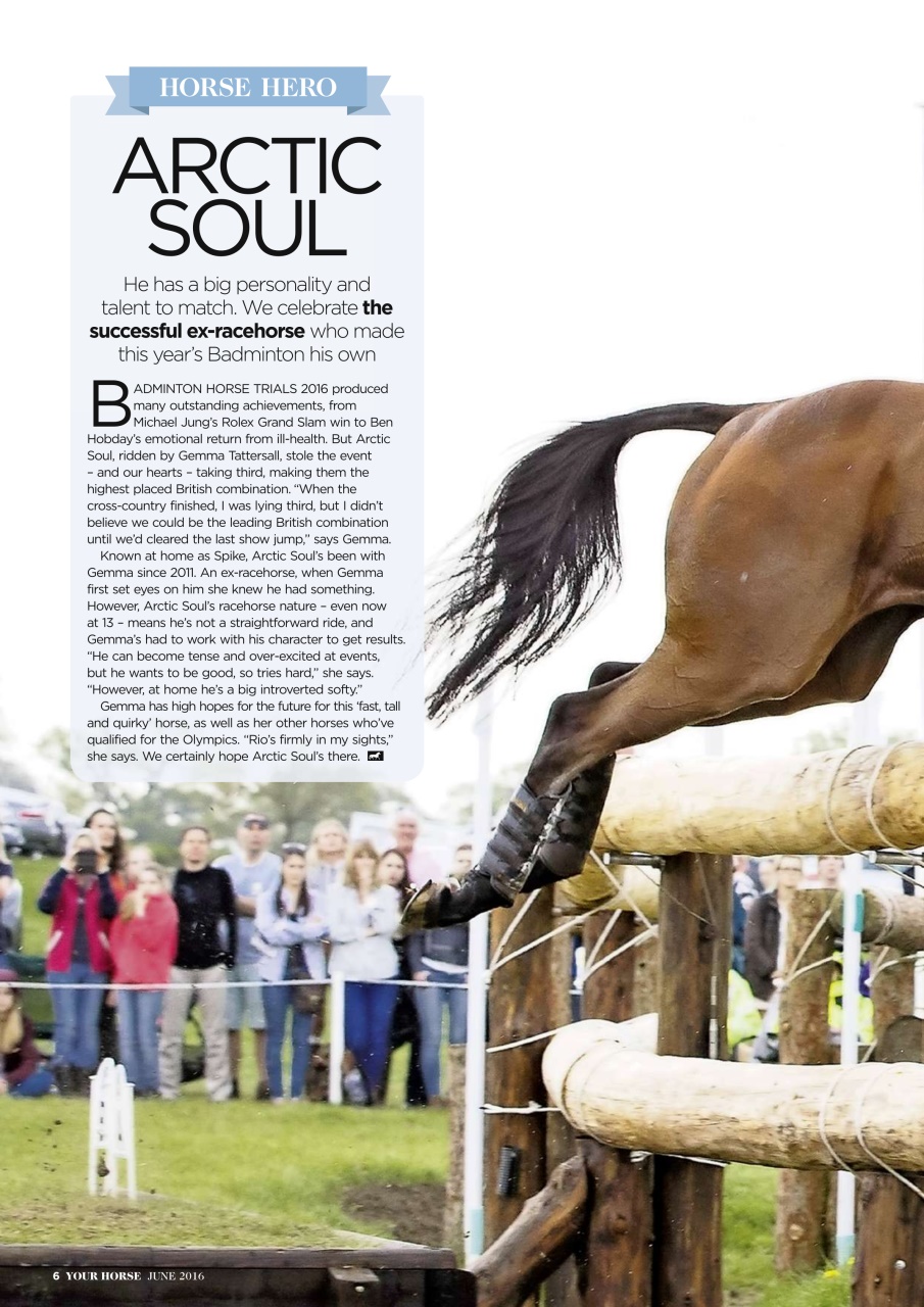 Your Horse Preview Pages