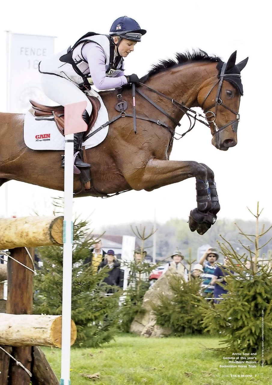 Your Horse Preview Pages