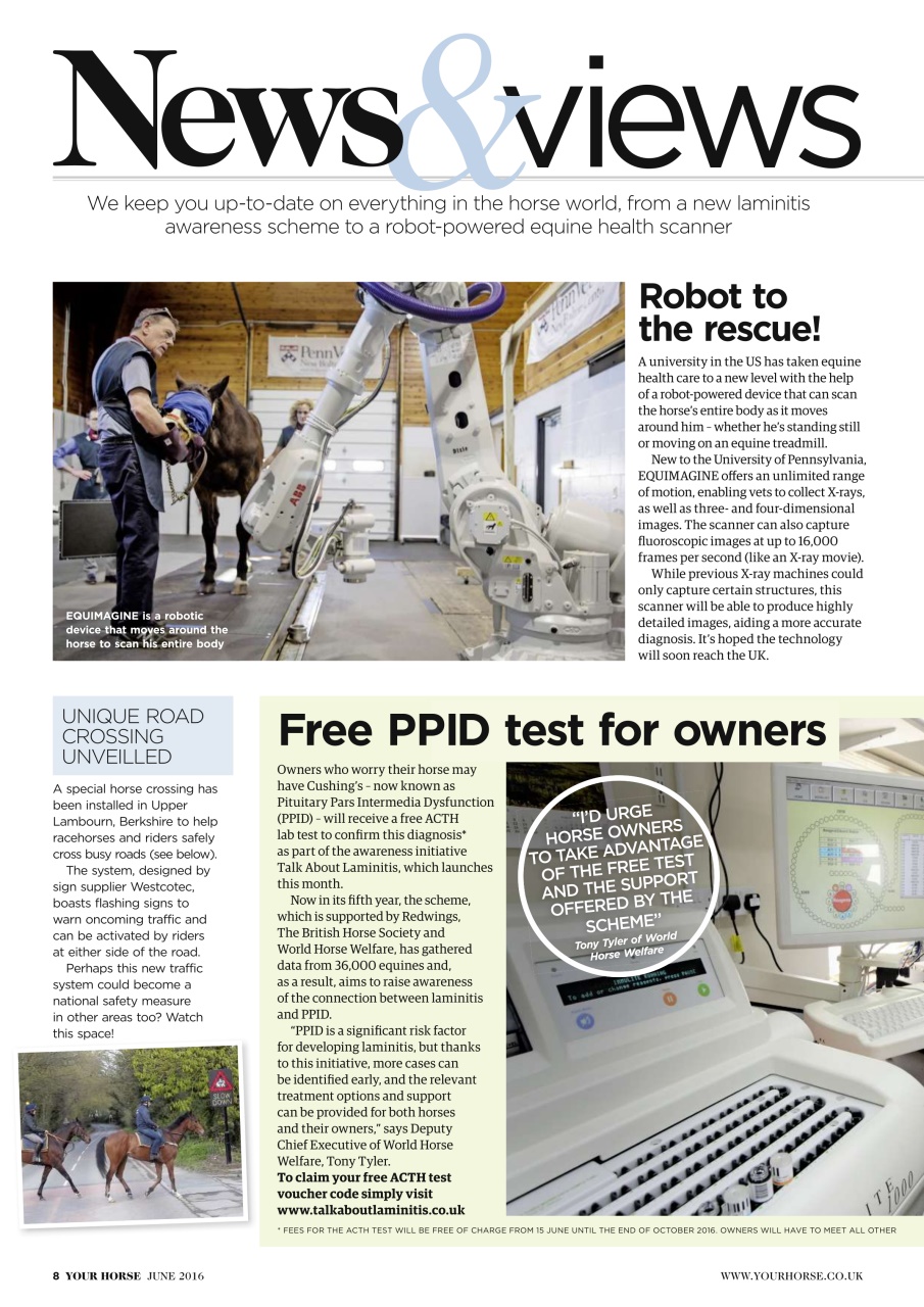 Your Horse Preview Pages