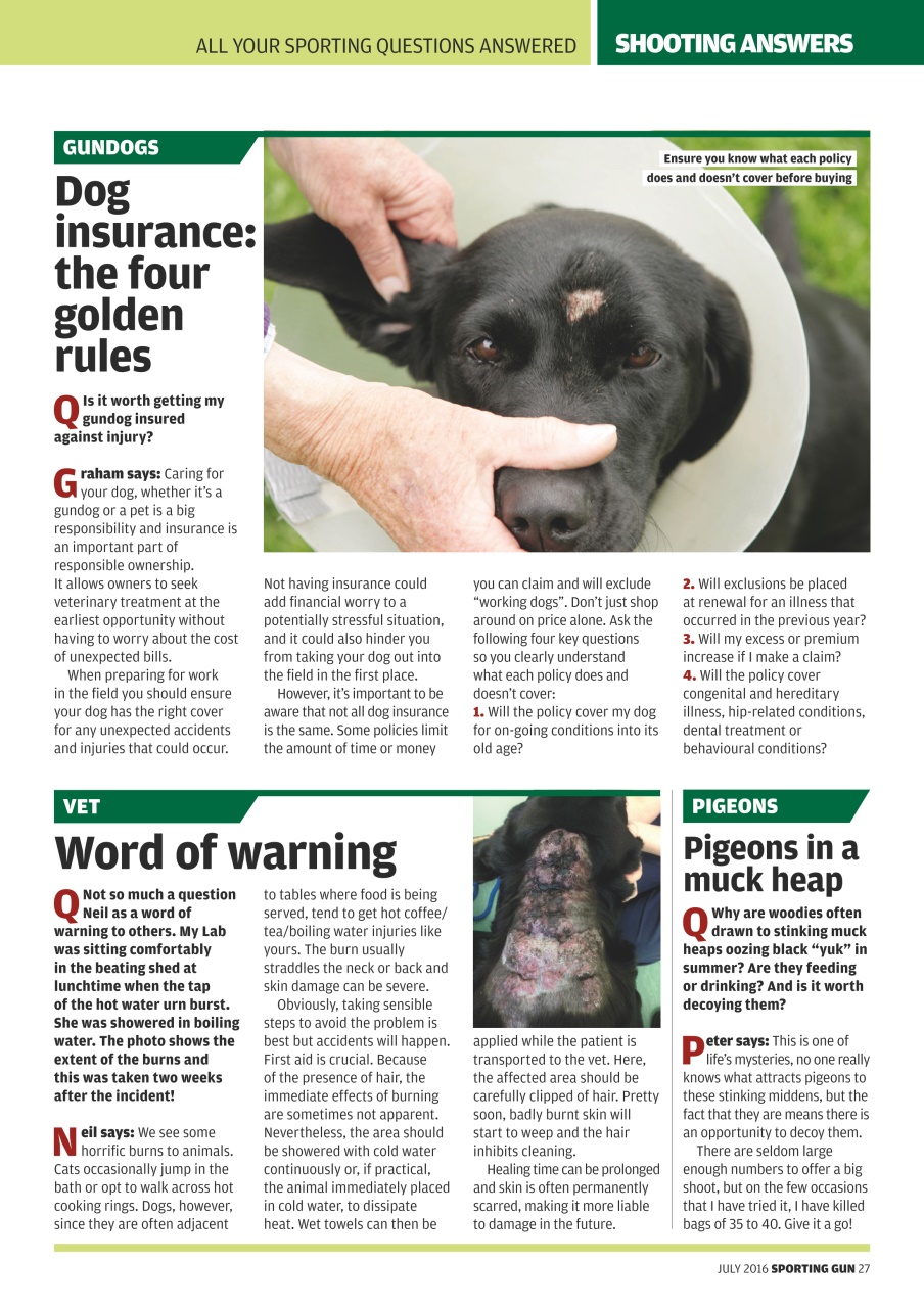 Sporting Gun Preview Pages