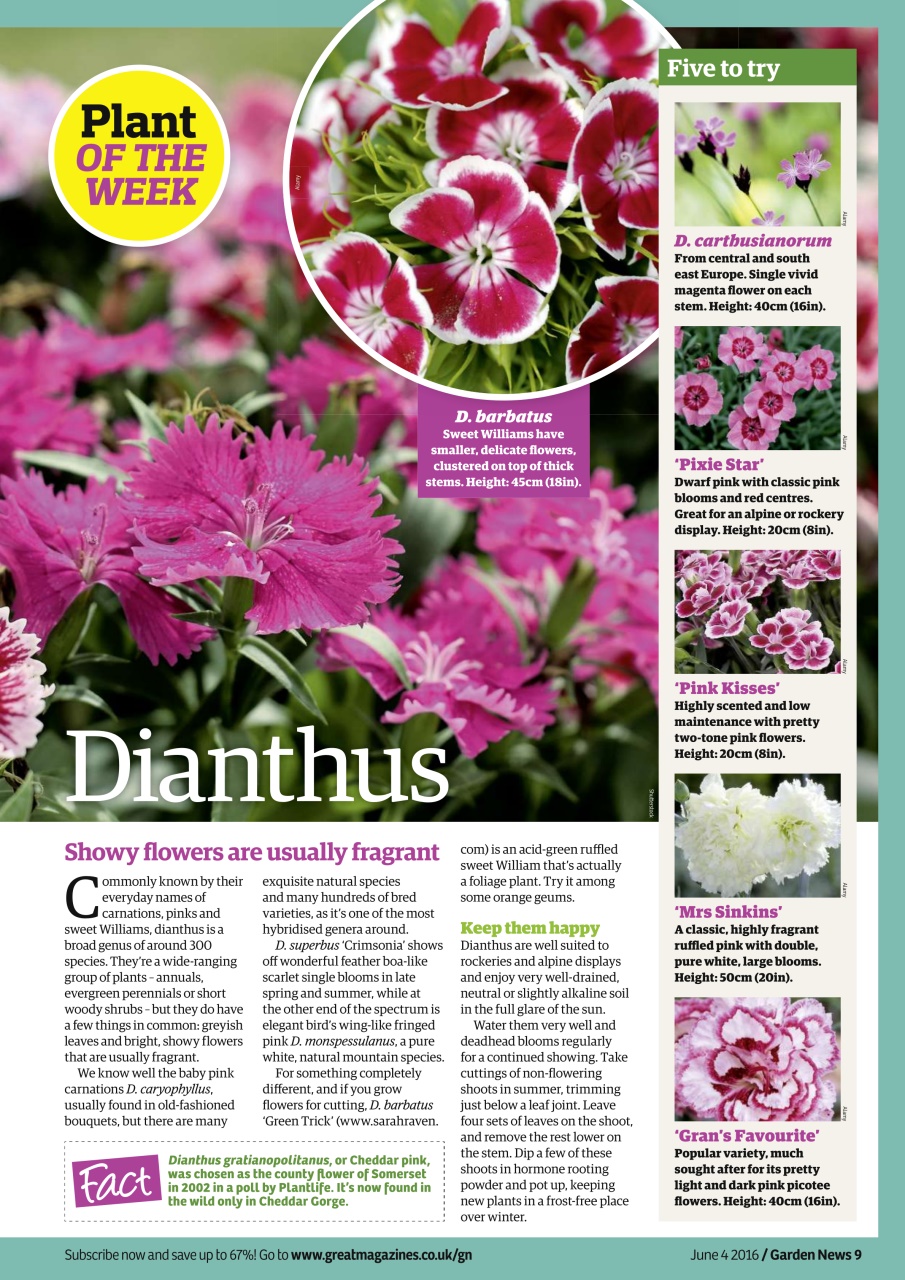 Garden News Preview Pages