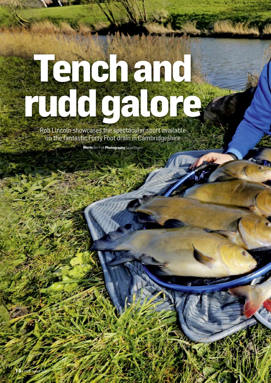 Improve Your Coarse Fishing Preview Pages