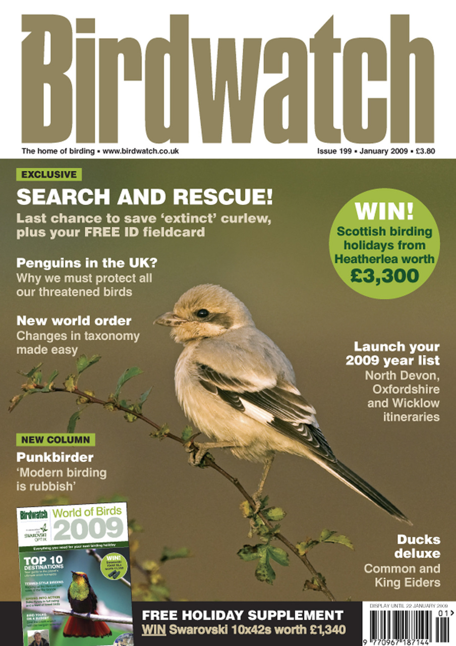 Birdwatch Magazine Preview Pages