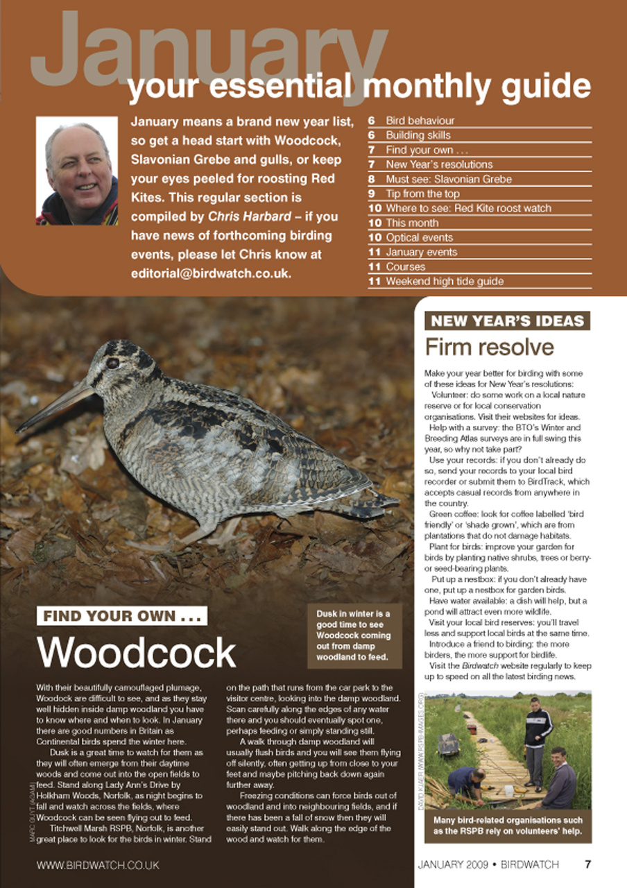 Birdwatch Magazine Preview Pages