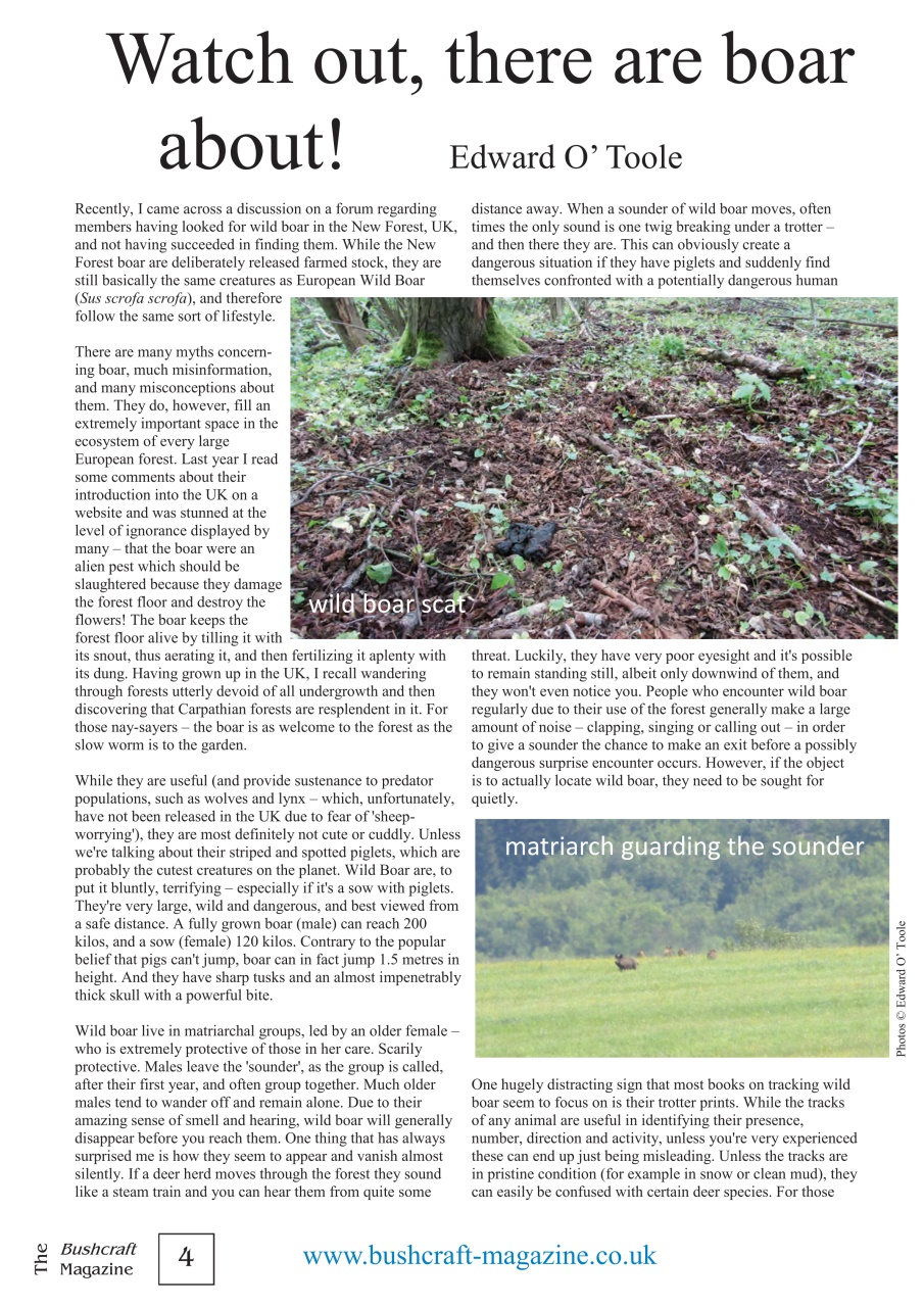 Bushcraft Magazine Preview Pages