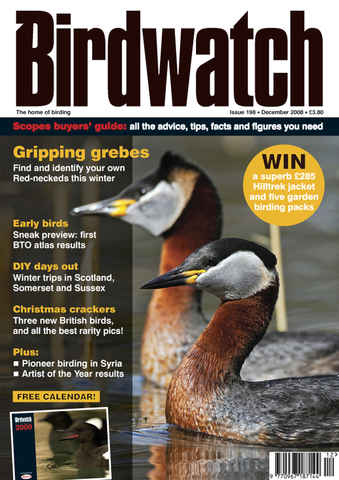 Birdwatch Magazine issue December 2008
