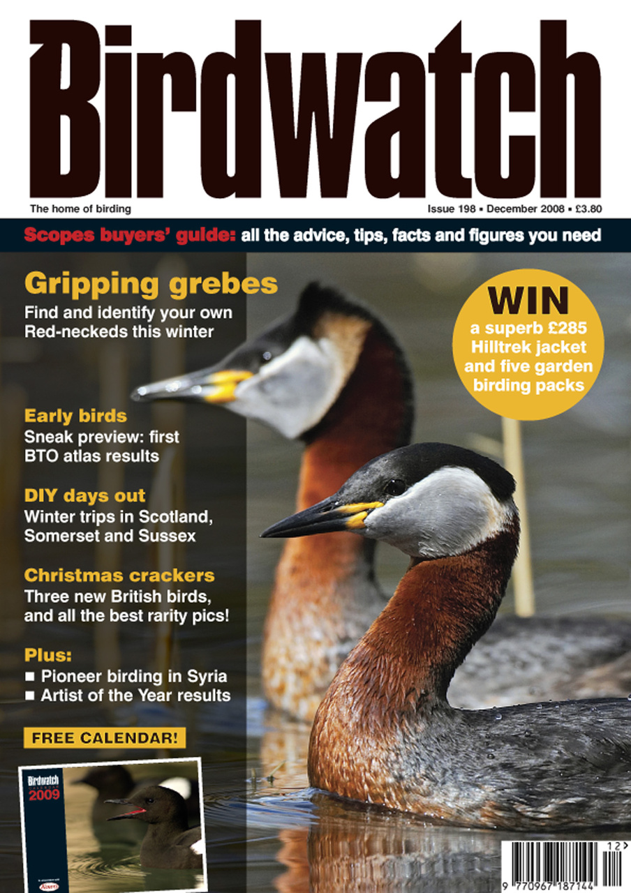 Birdwatch Magazine Preview Pages