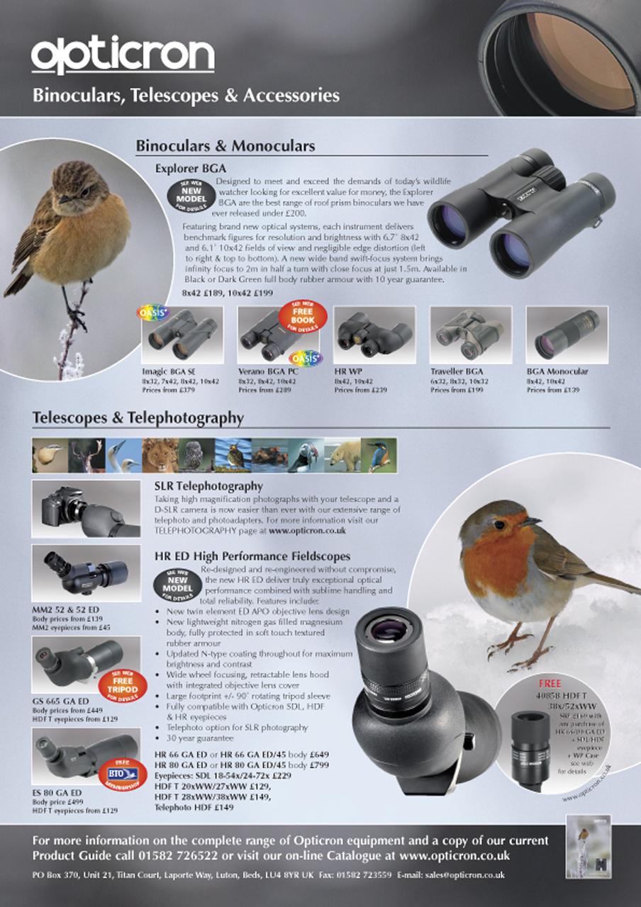 Birdwatch Magazine Preview Pages
