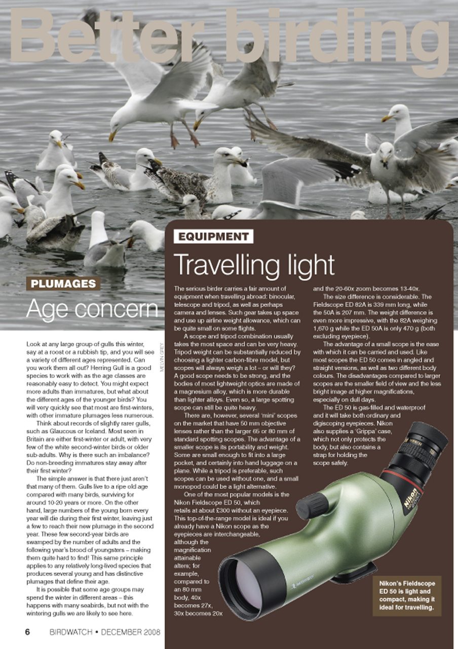 Birdwatch Magazine Preview Pages