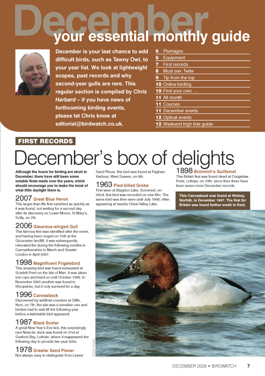 Birdwatch Magazine Preview Pages