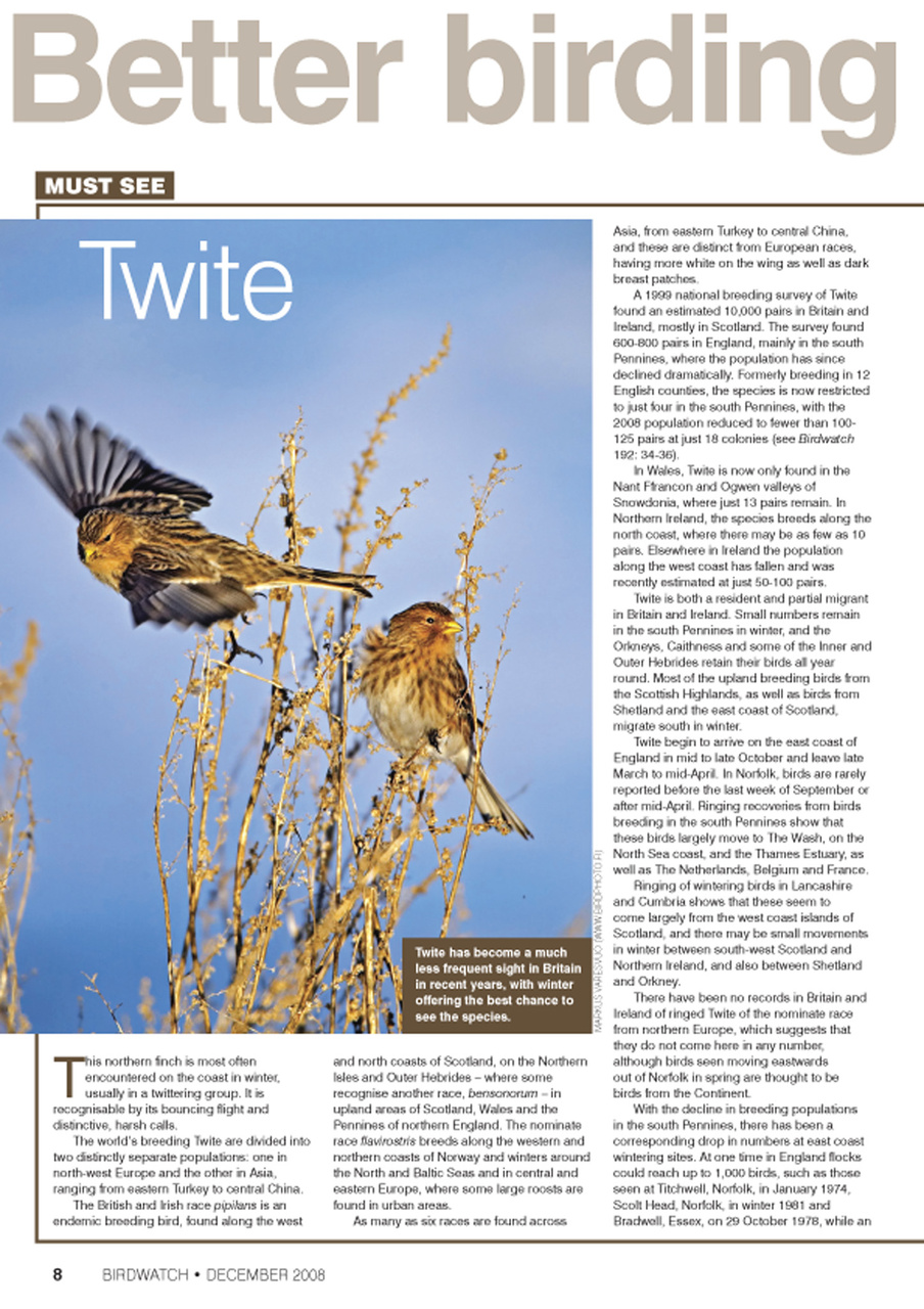 Birdwatch Magazine Preview Pages